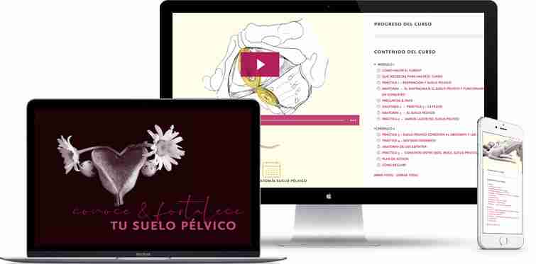 conoce & fortalece tu suelo pélvico