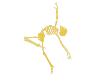 baila_icon_amarillo