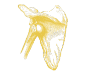 hombro_icon_amarillo